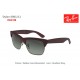 Ray-Ban RB4186 Dylan Sunglasses 